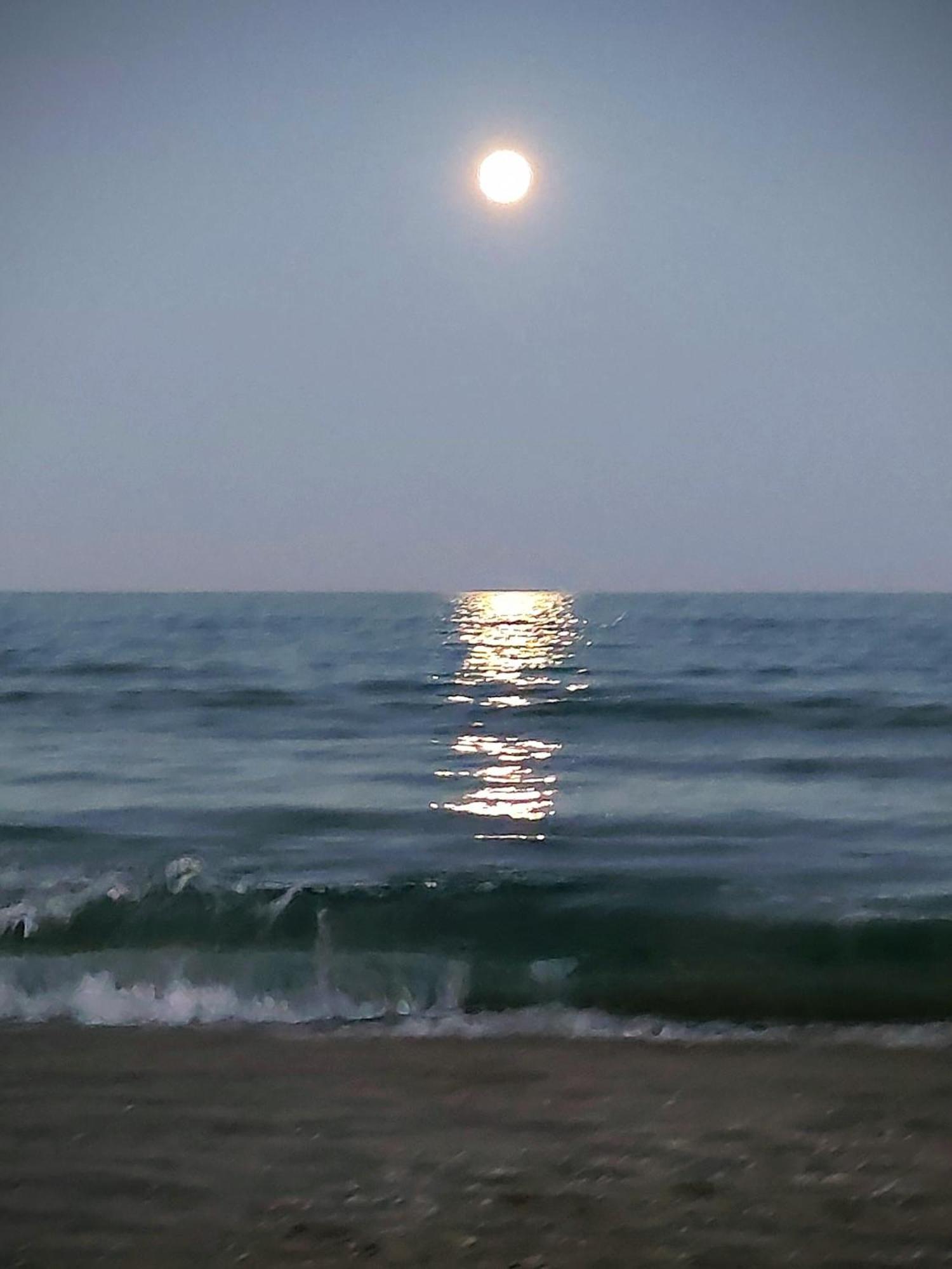 Cullera Confort Playa Екстериор снимка